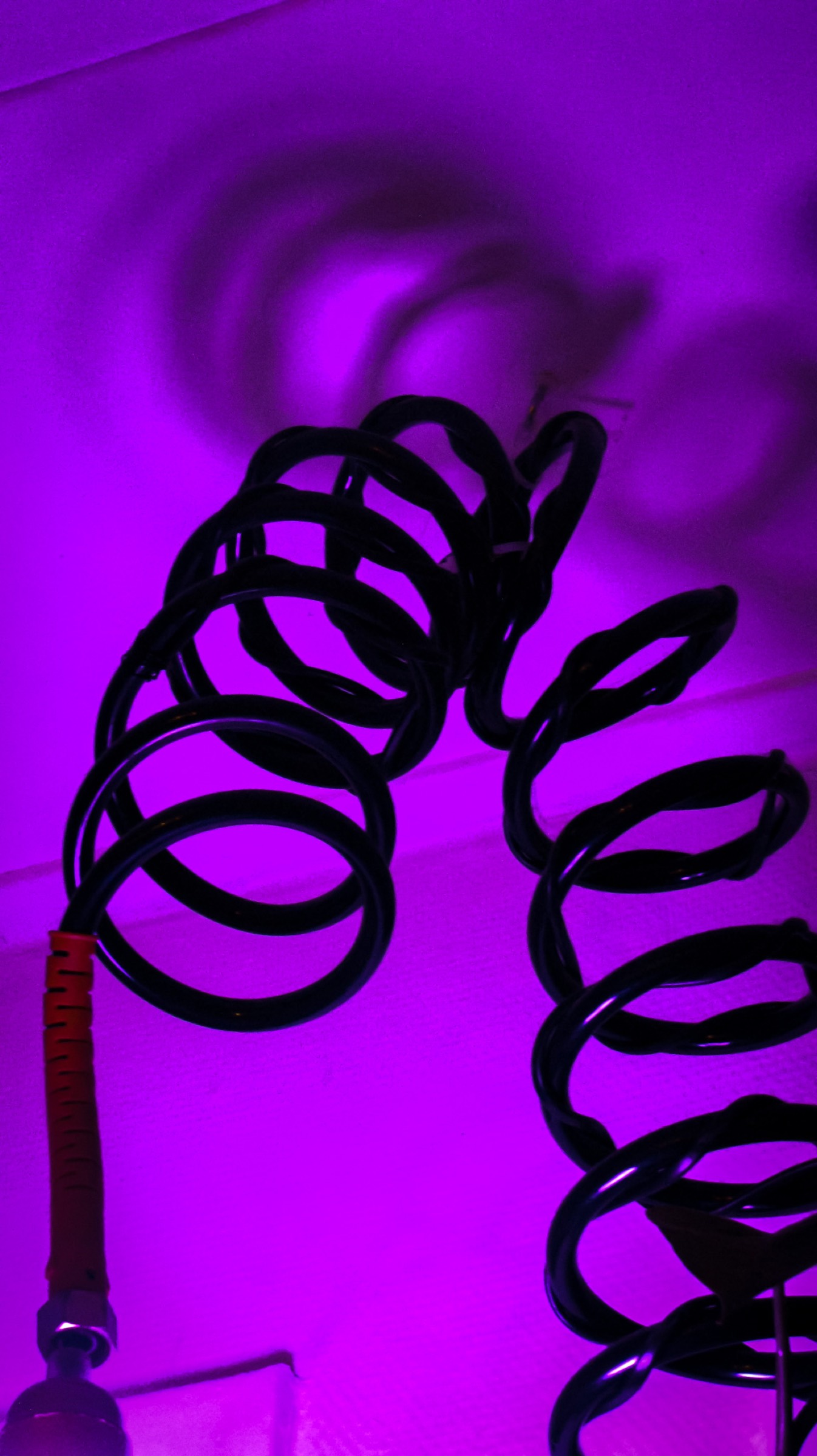 Construct, recontruct — detail